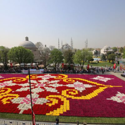 Sultanahmet Tulip Carpet